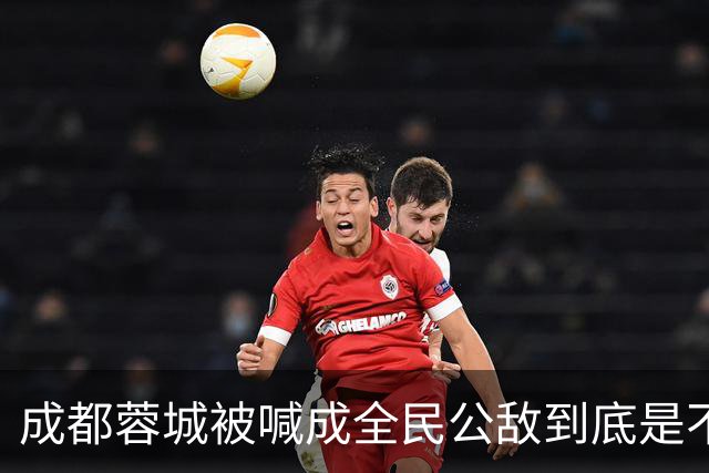成都蓉城被喊成全民公敌到底是不是真的，看完五月申花主场那场六万多人看球就知道答案
