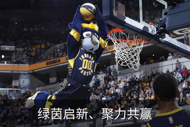 绿茵启新、聚力共赢