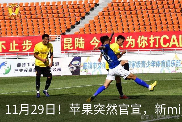 11月29日！苹果突然官宣，新mini和Pro来了！
